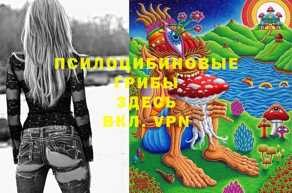 амфетамин Алексеевка